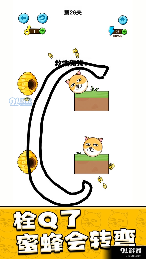 我的狗狗v1.3.2.8截图4