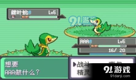 口袋妖怪：漆黑的魅影手游v6.0.7截图3