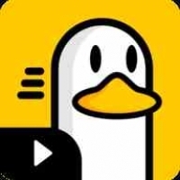 胖鸭TV电视版v1.0.3