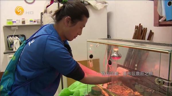 大视界tvv1.6截图3