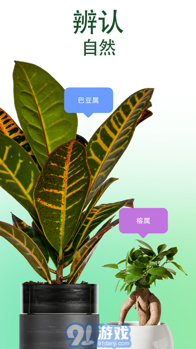 爱自然ID苹果版v5.33截图1