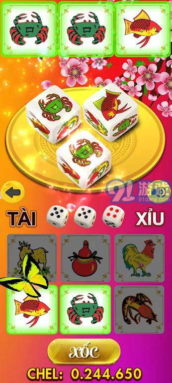 随机图案展示官网v5.55.04截图2