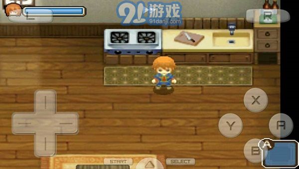 牧场物语双子村v3.5截图3