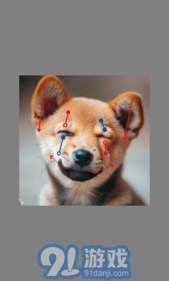 DragGAN AIv1.4截图2