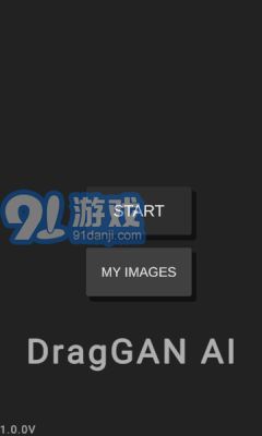 DragGAN AIv1.4截图3