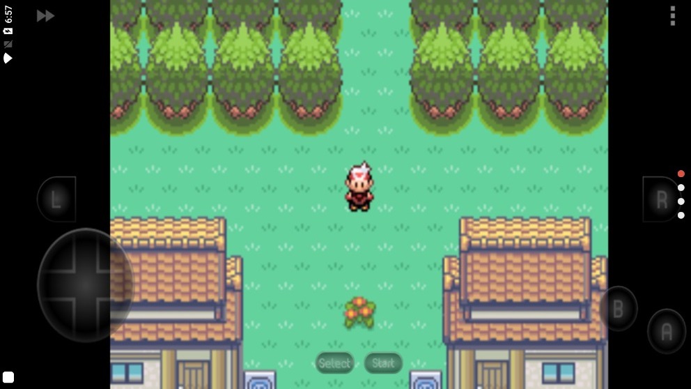 口袋妖怪漆黑的魅影5v1.6.7截图3