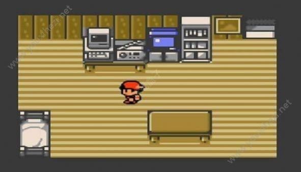 口袋妖怪心金随机版v4.2.11截图2