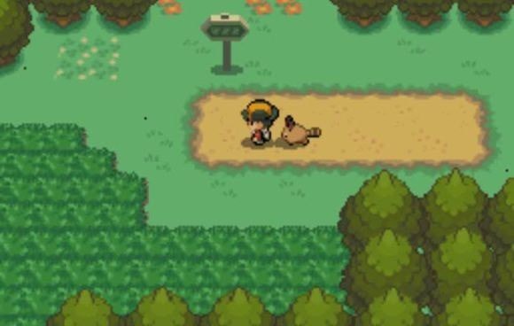 口袋妖怪心金随机版v4.2.11截图3