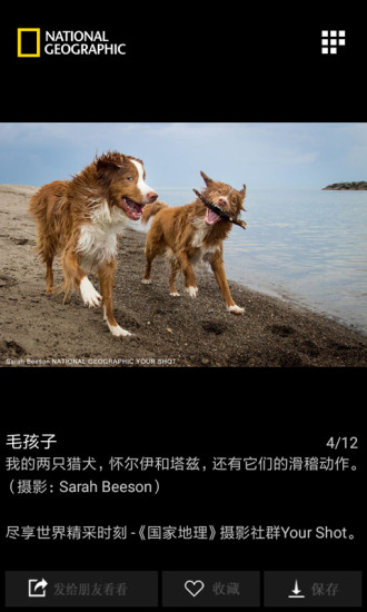 国家地理v2.6.6截图5