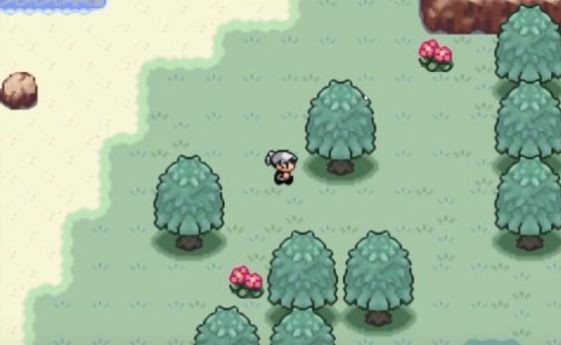 口袋妖怪火箭队v1.0.10截图3