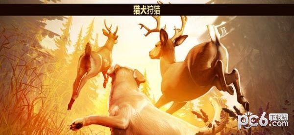 猎鹿人手机版v1.4截图3