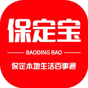 保定宝自定义版v6