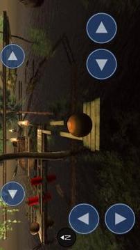 极限平衡器安卓版v1.5截图5