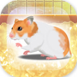 治愈仓鼠养成v2.10