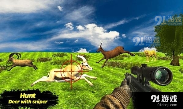 猎鹿探险v1.3.12截图1