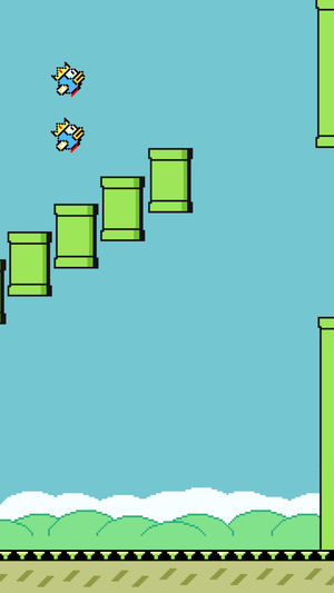 抖音眨眼睛飞鸟v5.7截图1