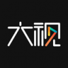 大视v2.11