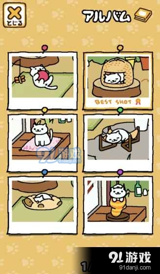 猫咪后院v1.0v1.11.4截图4