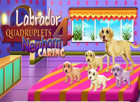 拉布拉多四胞胎新生儿护理v1.7截图1