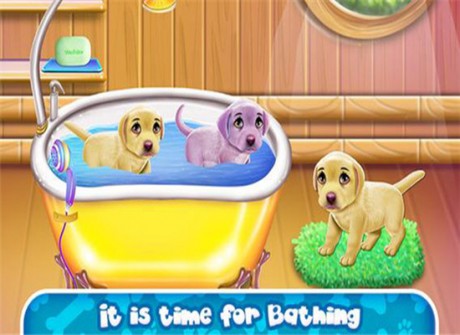 拉布拉多四胞胎新生儿护理v1.7截图2