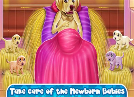 拉布拉多四胞胎新生儿护理v1.7截图4