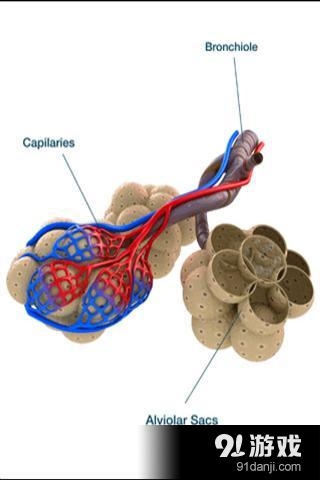 肺功能闪存v1.8截图2