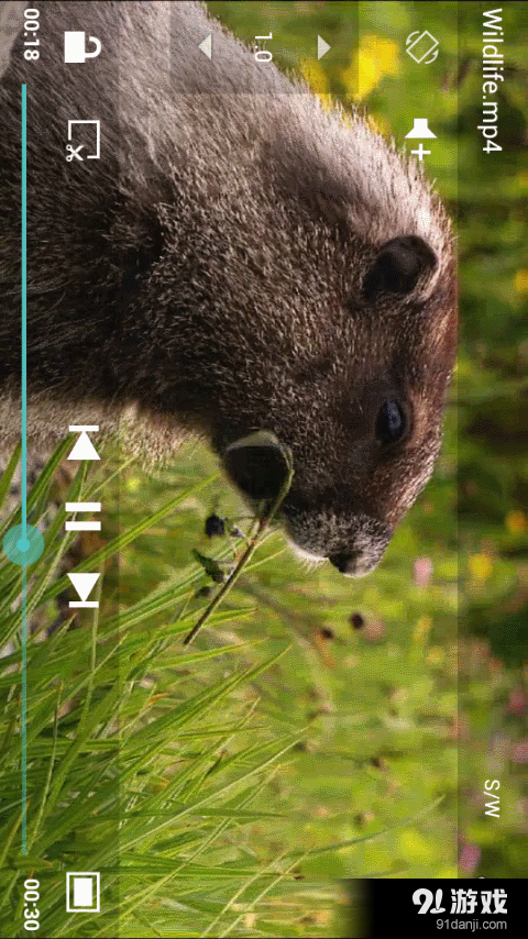 ZZPlayer免费版v5.6.11截图5