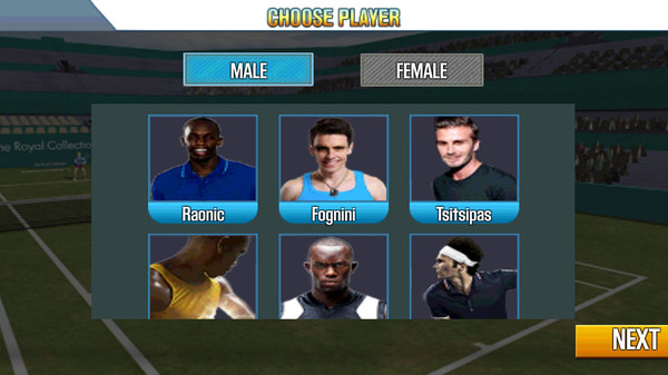 网球冠军3Dv1.8截图2