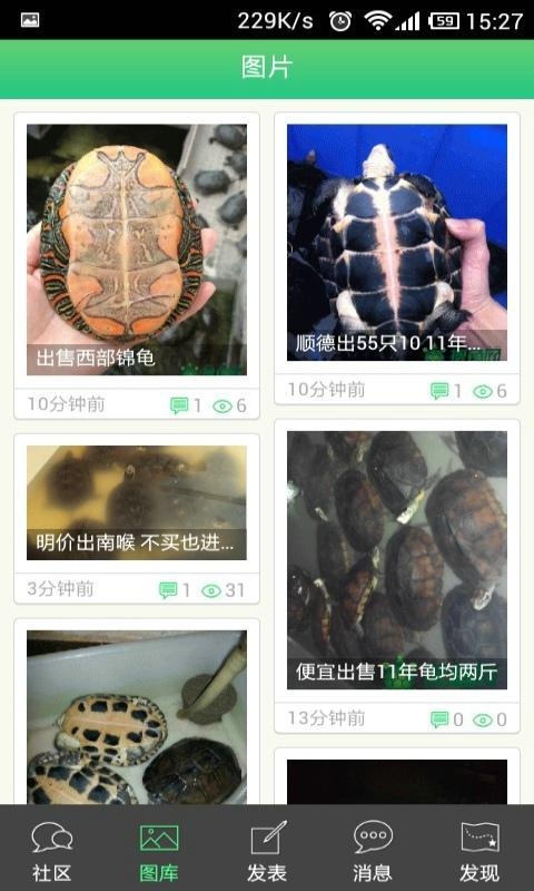 搜龟网v2.3.28截图2