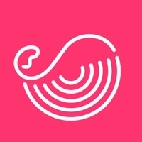 灰豚数据苹果版v2.0.10