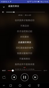 嗨本地音乐播放器v2.3.8截图1