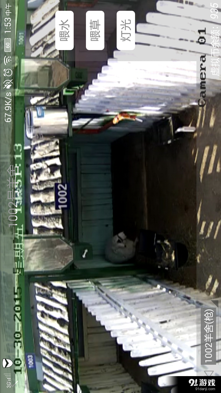 我在草原有只羊v1.10.6截图2