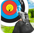 真正的射击军训练v1.5.6