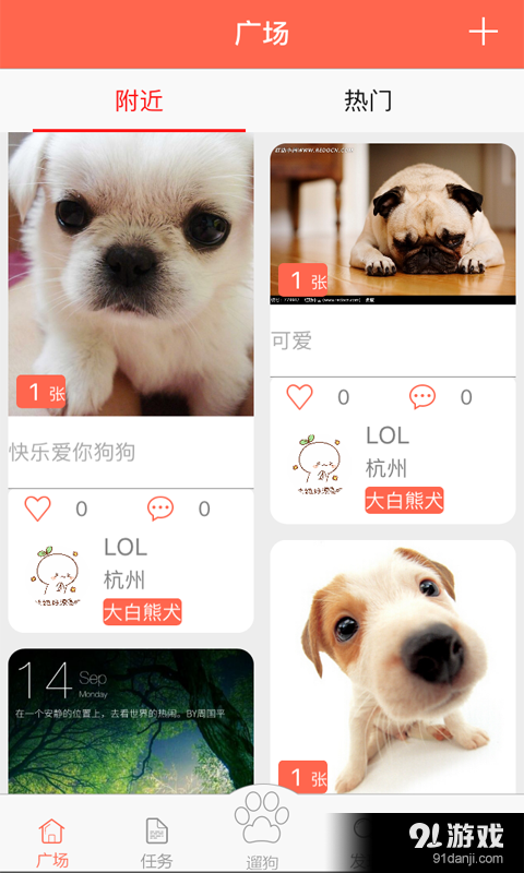 口袋狗v1.5.6截图2