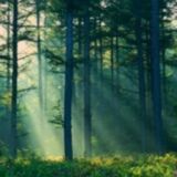 迷失无人岛v2.40