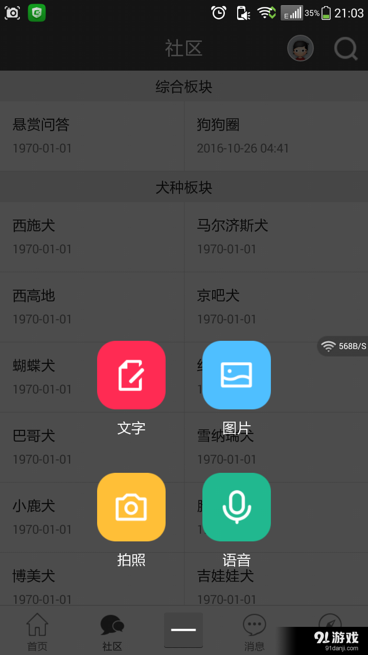 狗狗网v3.8.145截图2