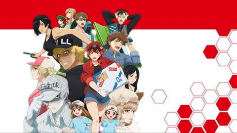 永远的工作细胞v1.8截图4