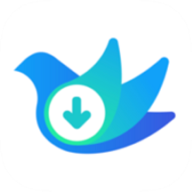 网页视频助手手机端v16.93