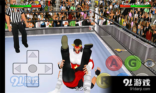 摔跤革命3D汉化版v1.625截图2