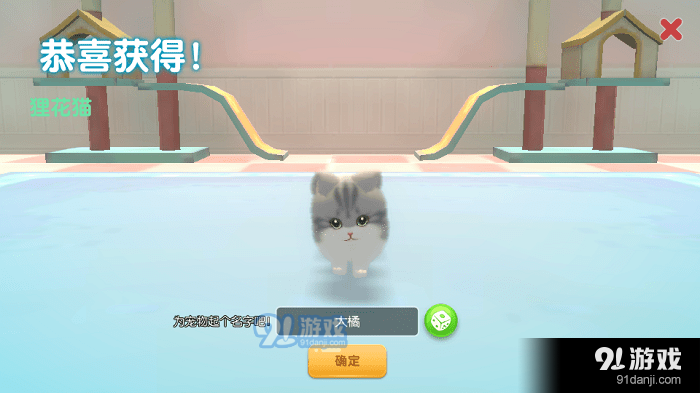 养了个猫联机版v1.8截图3