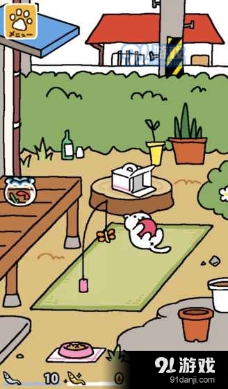 猫咪后院v1.0v1.11.4截图5