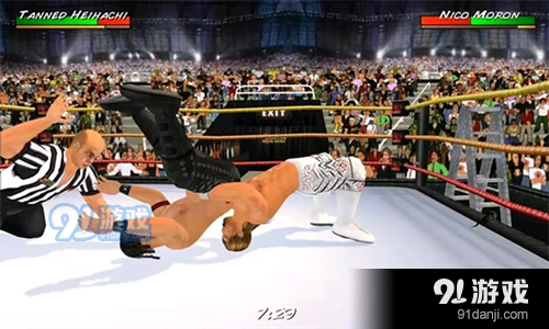 摔跤革命3D汉化版v1.625截图3