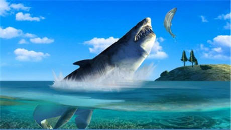 凶残鲨鱼模拟3Dv1.16截图4