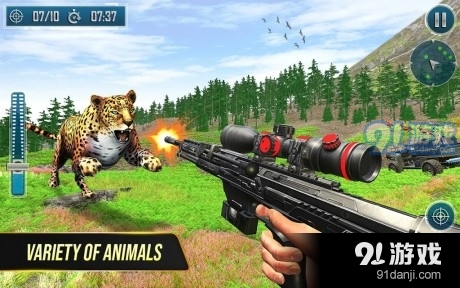 野鹿猎杀之旅v1.3.37截图3