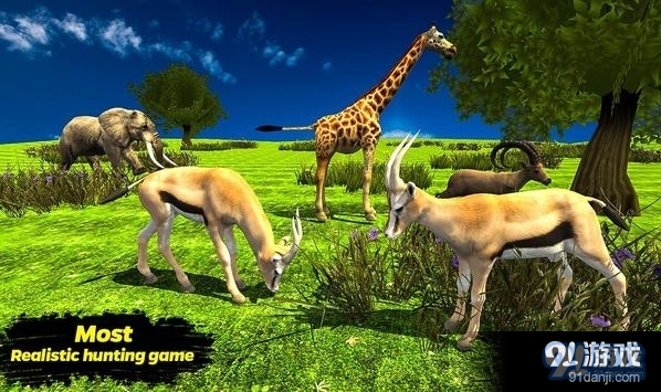 猎鹿探险v1.3.12截图3