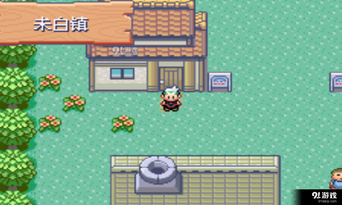 口袋妖怪绿宝石386金手指v5.0.5.5截图5