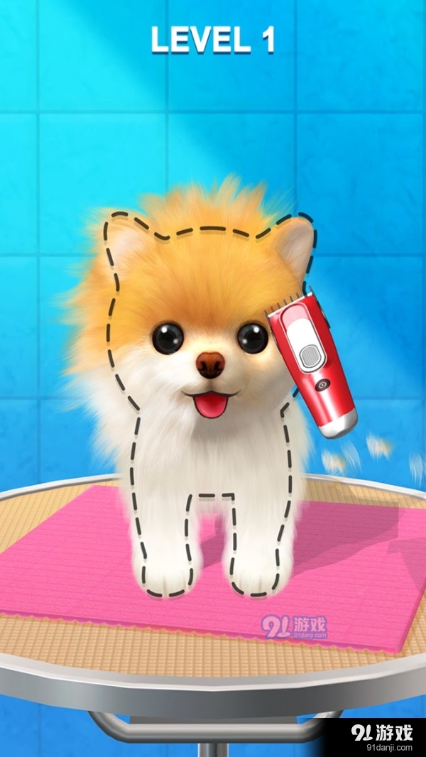 宠物修个毛v1.3.5截图2