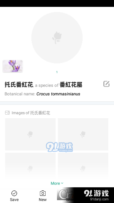 植物识别PictureThisv3.6.7截图2