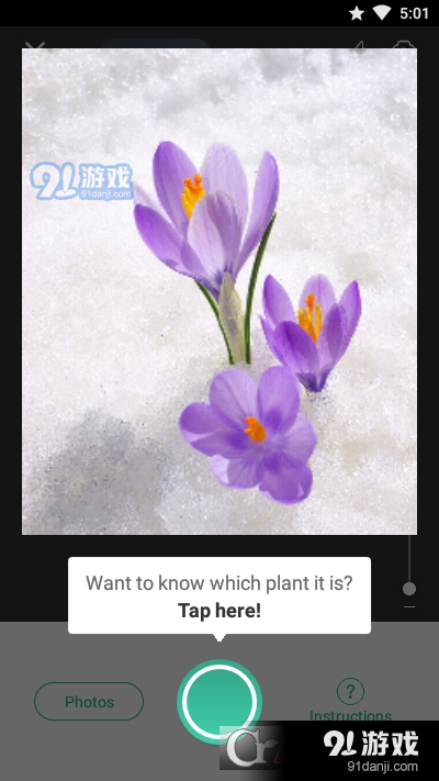 植物识别PictureThisv3.6.7截图1