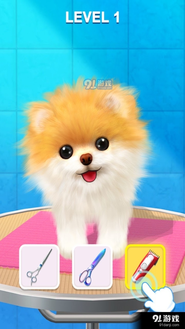 宠物修个毛v1.3.5截图1